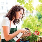 Borrifador Pulverizador Jardinagem Manual 1 Litro | Tramontin